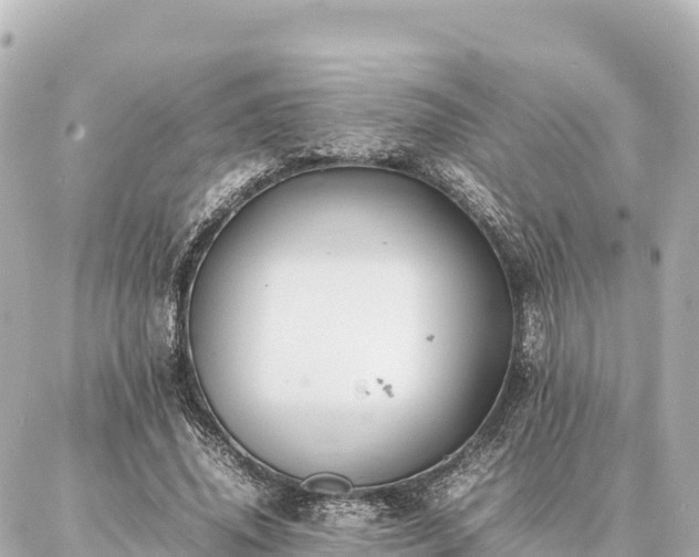 X0000087060636200704251030