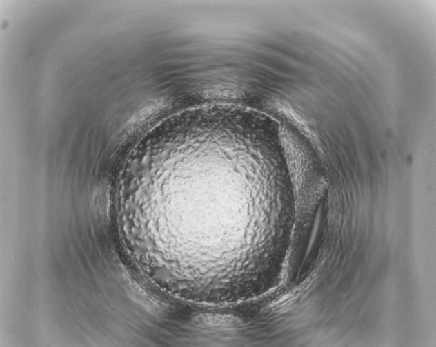 X0000087060637200704251030