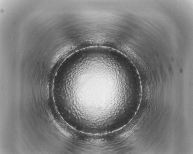 X0000087060638200704251030