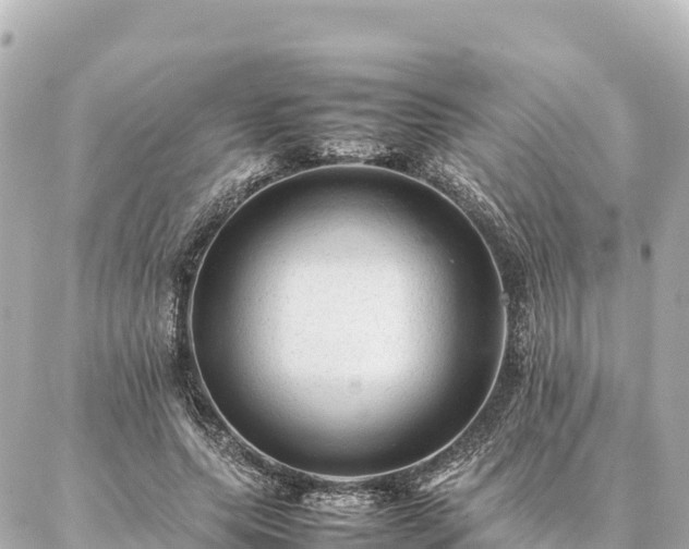 X0000087060639200704251030