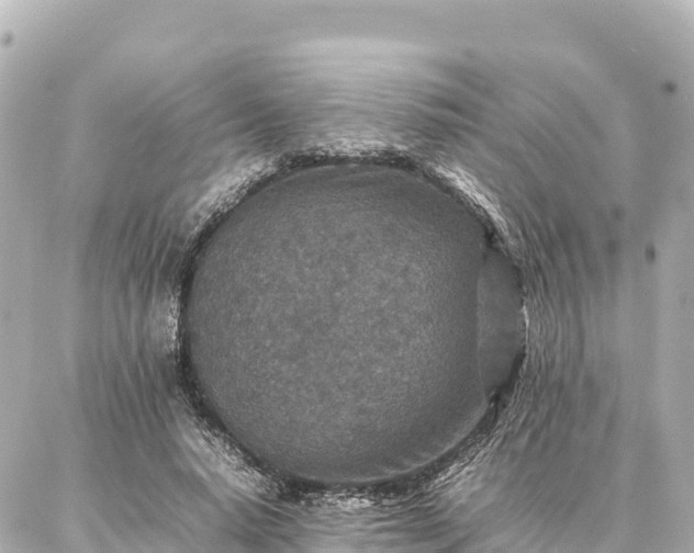 X0000087060640200704251030