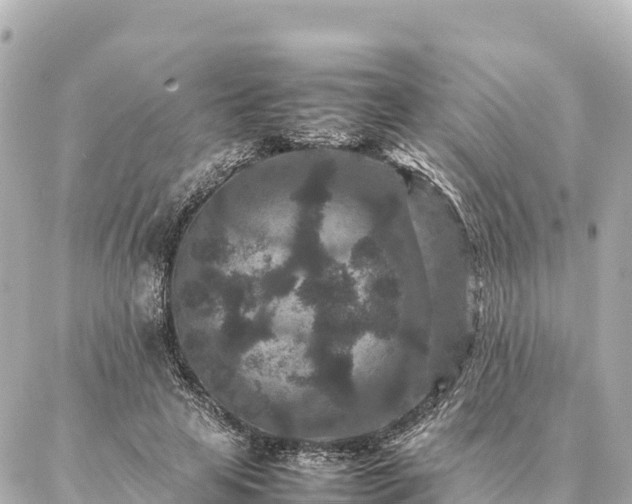 X0000087060641200704251030