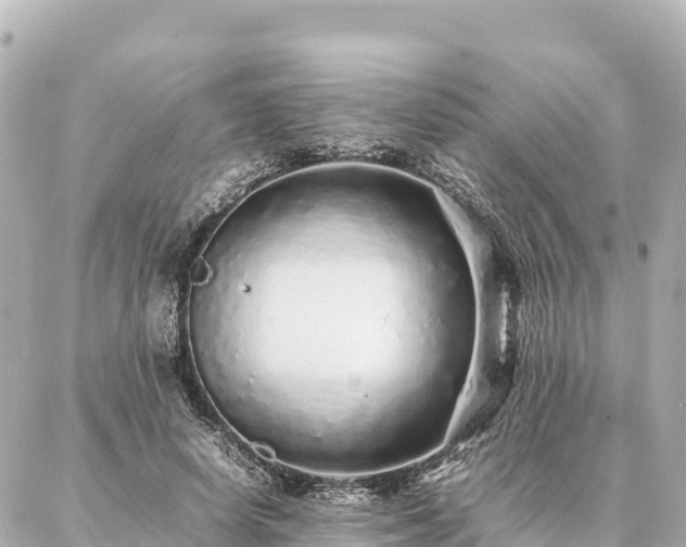 X0000087060642200704251030