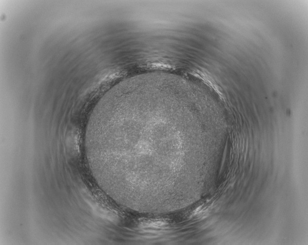 X0000087060643200704251030