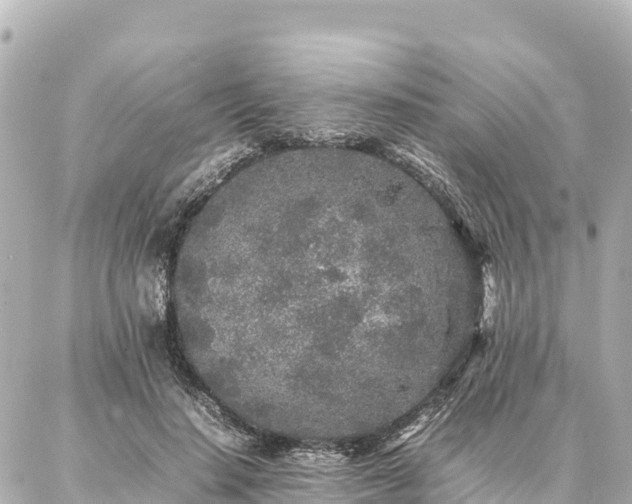 X0000087060644200704251030