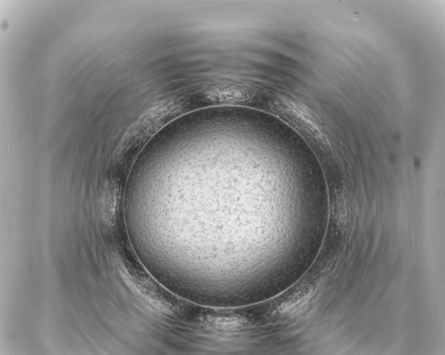 X0000087060645200704251030