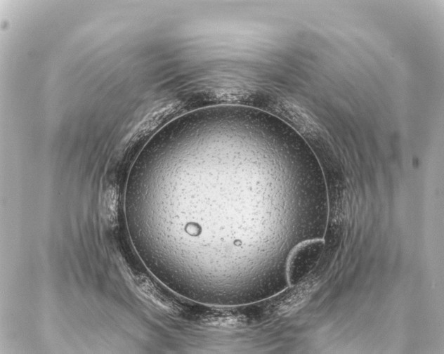 X0000087060646200704251030