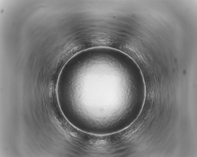 X0000087060647200704251030