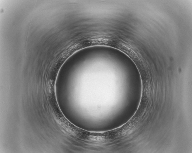 X0000087060649200704251030