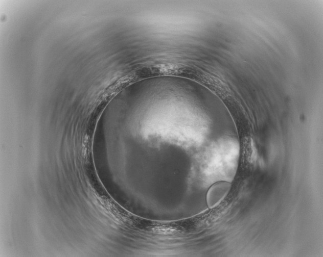 X0000087060650200704251030