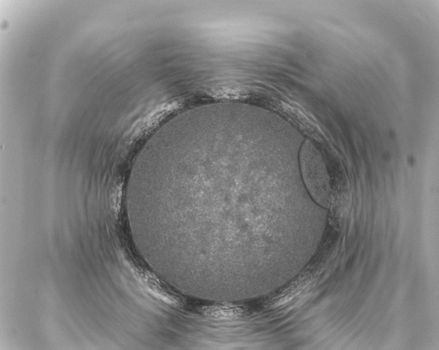 X0000087060652200704251030