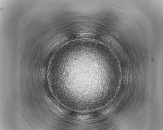 X0000087060653200704251030