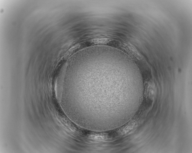 X0000087060655200704251030