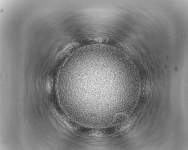 X0000087060656200704251030