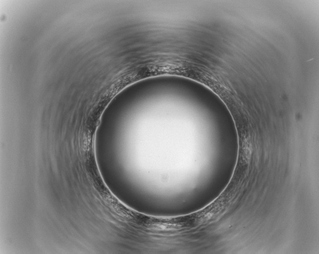 X0000087060657200704251030