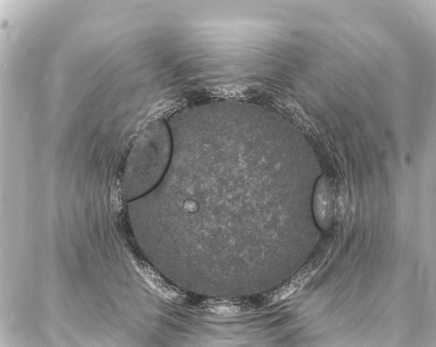 X0000087060658200704251030