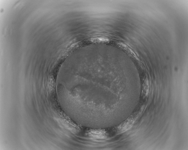 X0000087060659200704251030