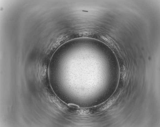 X0000087060660200704251030