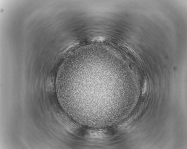 X0000087060661200704251030