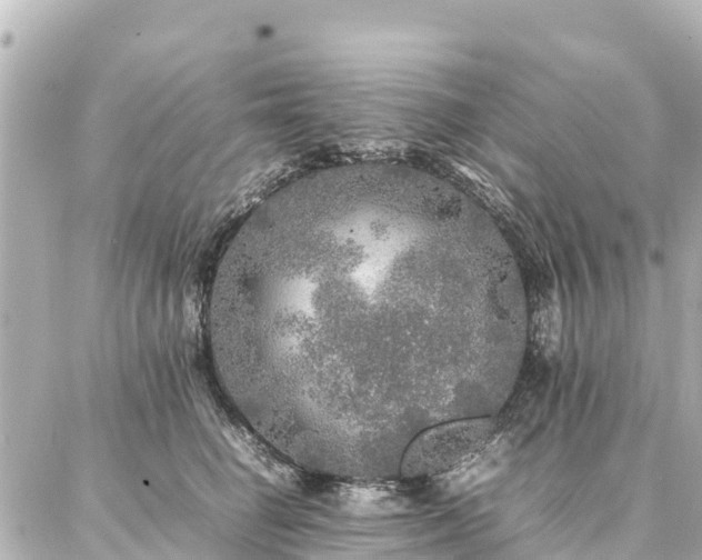 X0000087060662200704251030