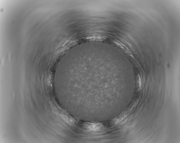 X0000087060663200704251030