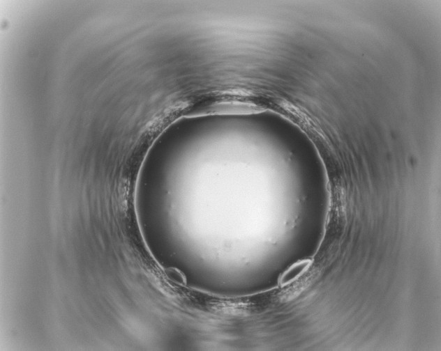 X0000087060664200704251030