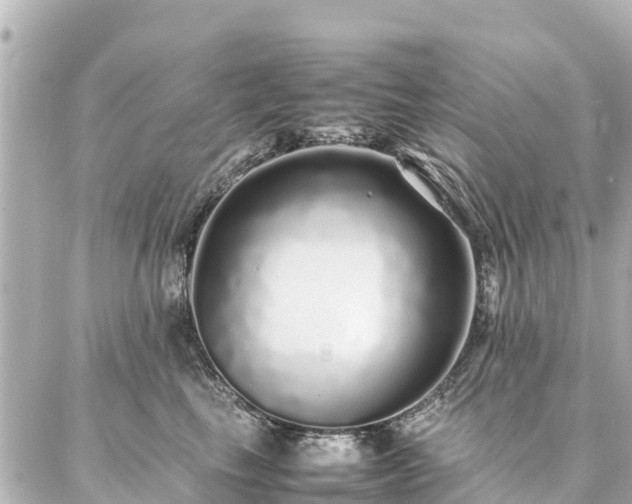 X0000087060665200704251030