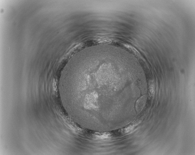 X0000087060667200704251030