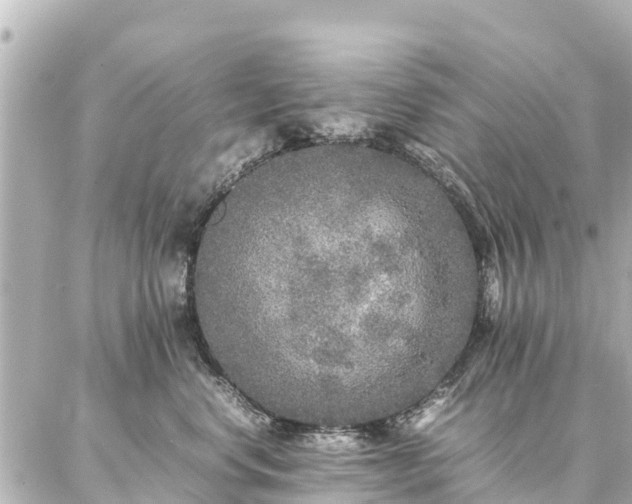 X0000087060668200704251030