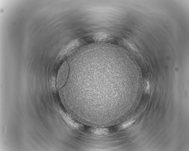 X0000087060670200704251030