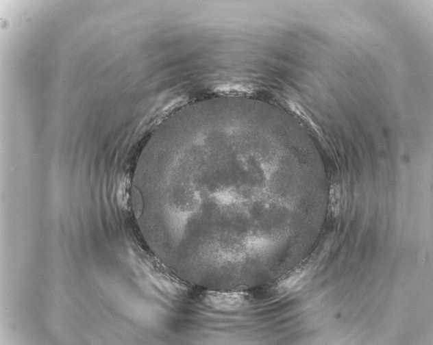 X0000087060671200704251031