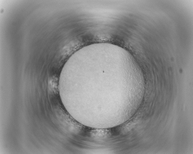 X0000087060672200704251031