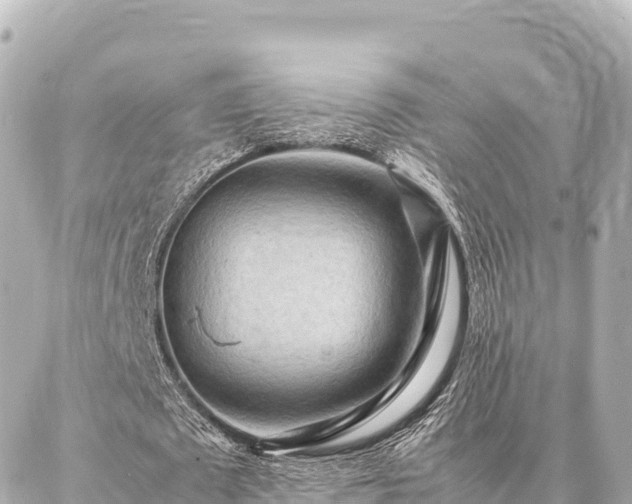 X0000087060673200704251030