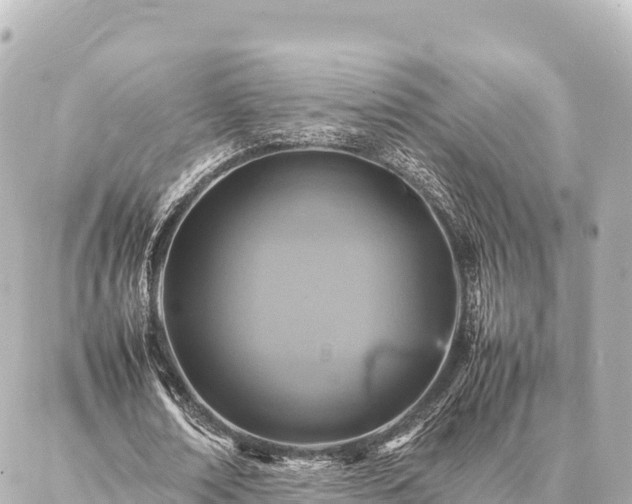 X0000087060674200704251030