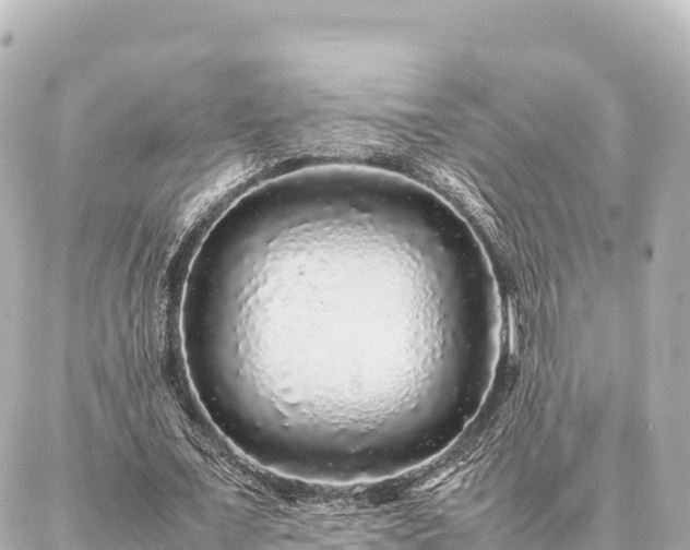 X0000087060675200704251030