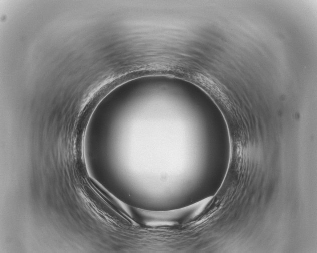 X0000087060676200704251030