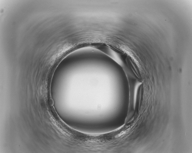 X0000087060677200704251030