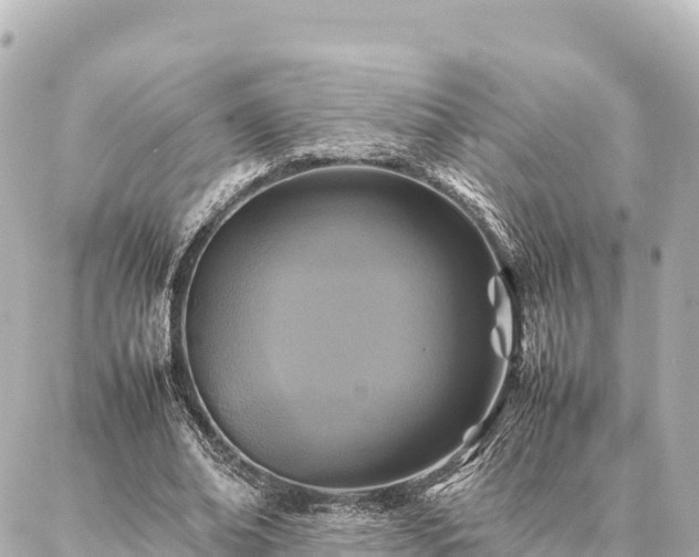 X0000087060678200704251030