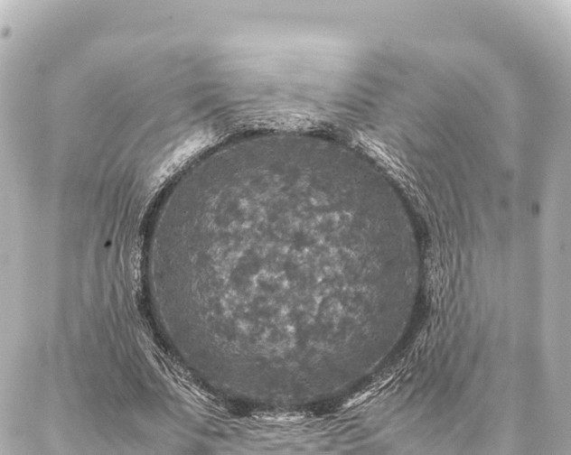 X0000087060679200704251030