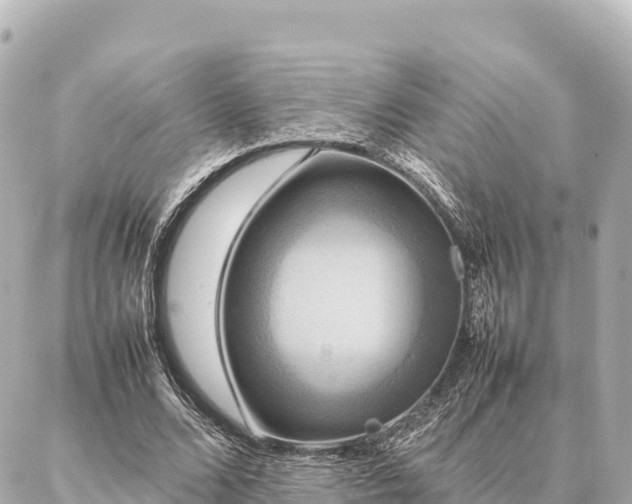 X0000087060680200704251030