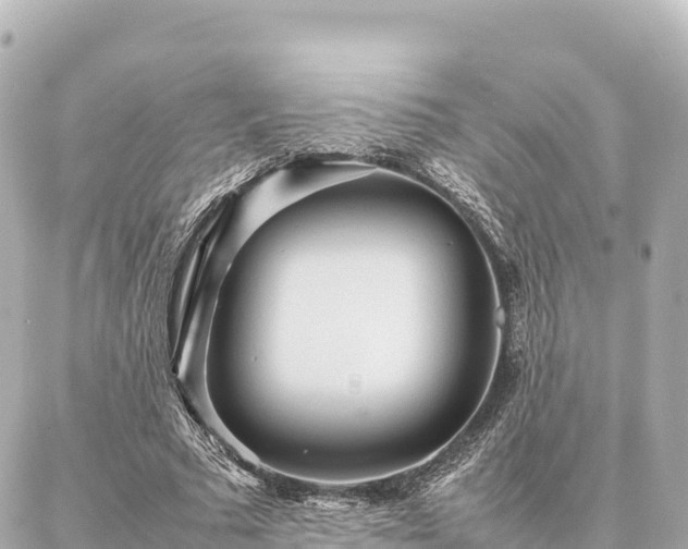 X0000087060681200704251030