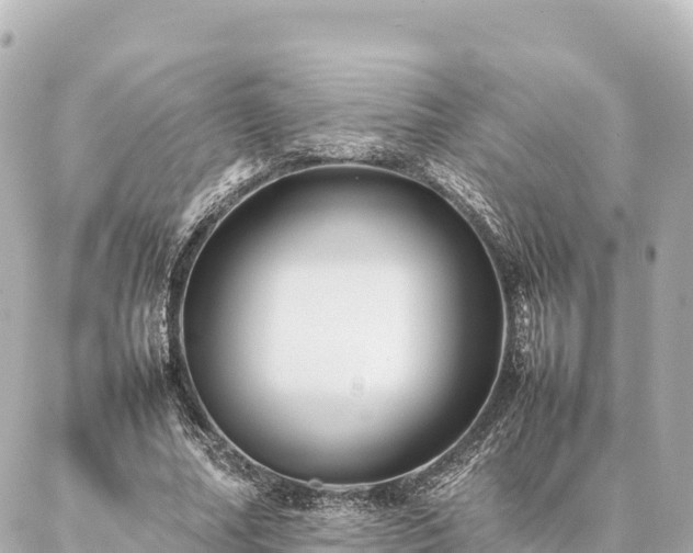 X0000087060682200704251030