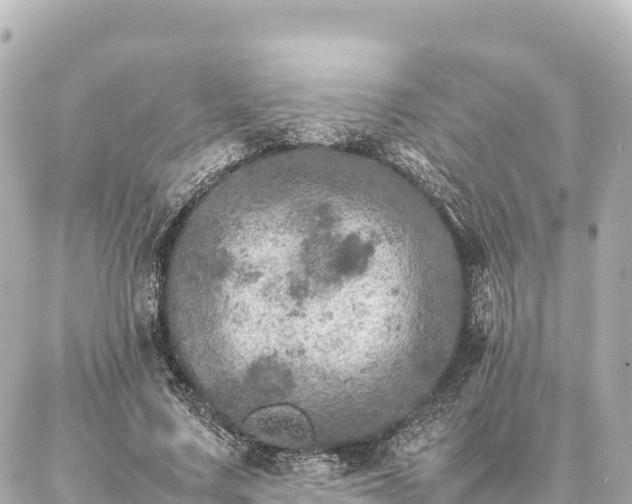 X0000087060683200704251030