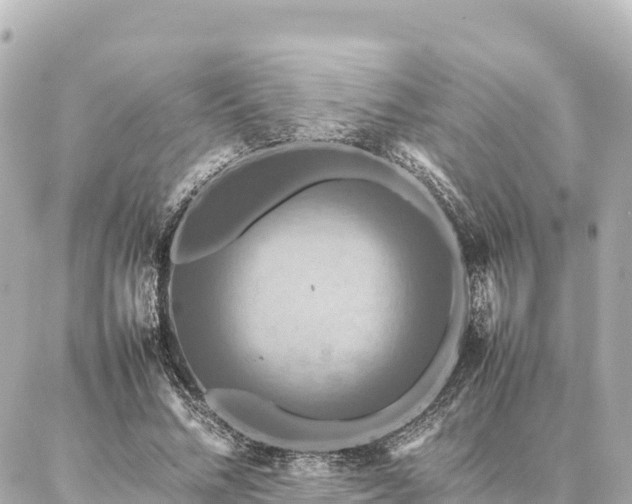 X0000087060684200704251030