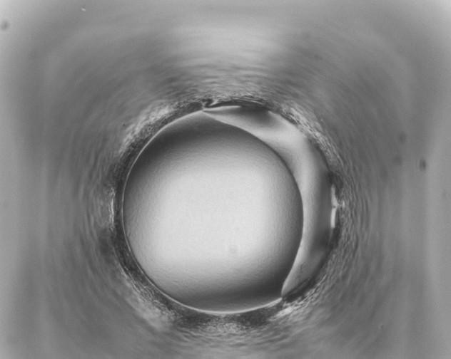 X0000087060685200704251030