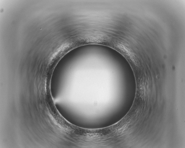 X0000087060686200704251030