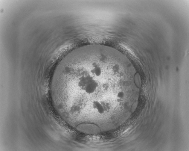 X0000087060687200704251030