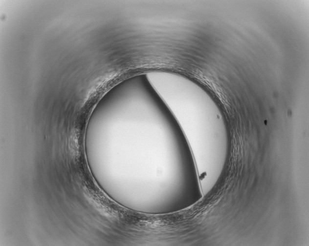 X0000087060688200704251029