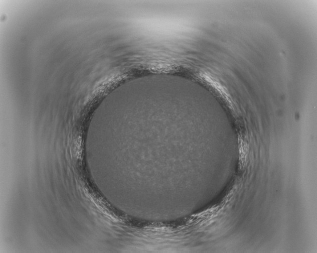 X0000087060689200704251029