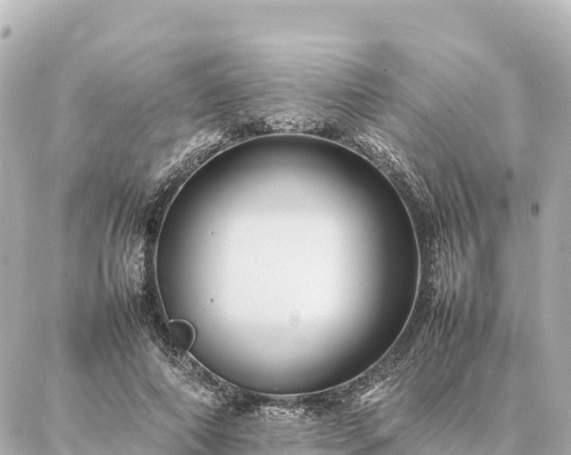 X0000087060690200704251029